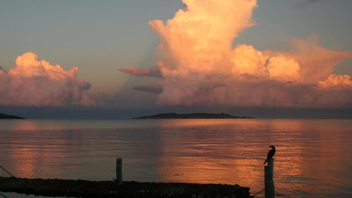 Ph140sunrise with the cormorant 3
